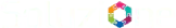 Soluzione | Microsoft Solutions Partner