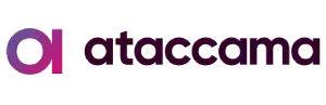 Ataccama partners
