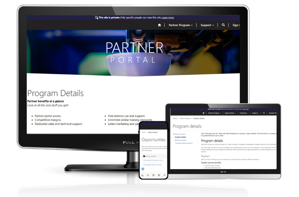 Microsoft Power Pages Consulting Services